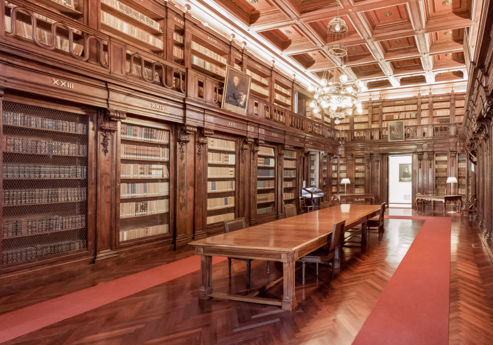 biblioteca alagoniana