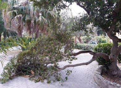 giardino esotico 3